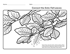 Dot to Dot 1-11: Leaves