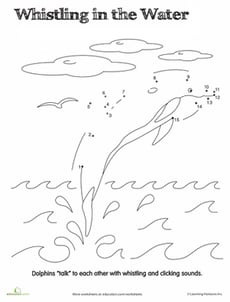 Connect the Dots: Talking Dolphin