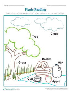 Picnic Reading