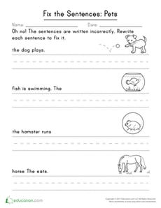 Fix the Sentences: Pets
