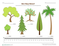 How Many Meters?