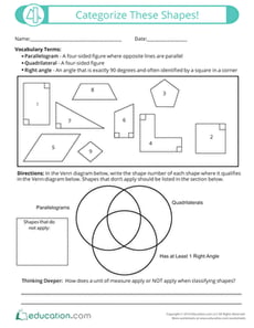 Categorize These Shapes!