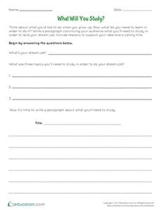 What Will You Study?