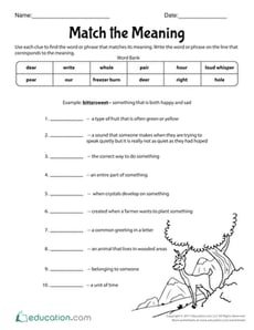 Match the Meaning