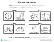 Rhyming Knowledge Assessment