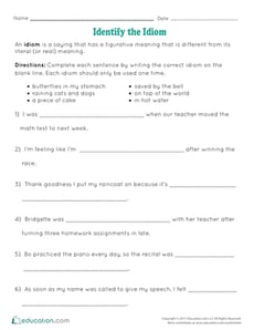 Identify the Idiom