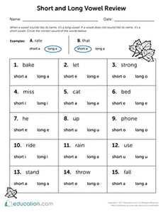 Long and Short Vowel Review