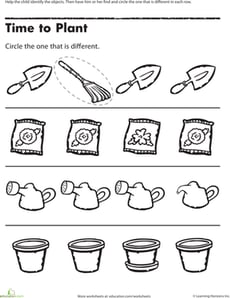 Find the One That's Different: Time to Plant