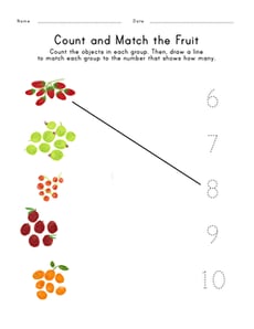 Count and Match the Fruit