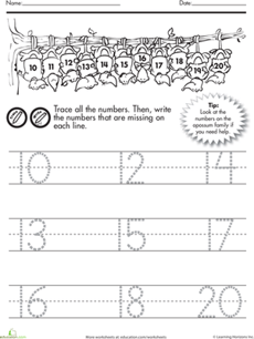 Trace and Count