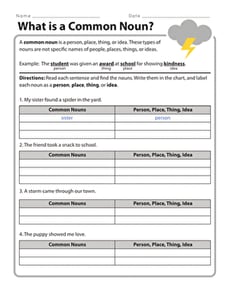 What is a Common Noun?
