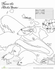 Aloha State