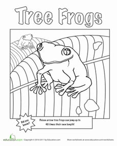 Color the Friendly Tree Frogs