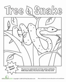Tree Snake Coloring Page