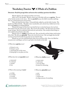 Vocabulary Practice:  A Whale of a Problem