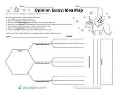 Opinion Essay: Idea Map