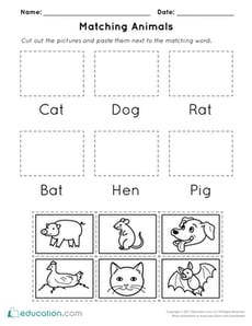 Matching Animals