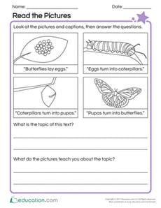 Read the Pictures