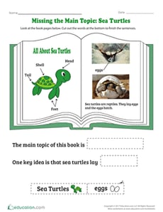 Missing the Main Topic: Sea Turtles
