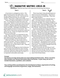 Narrative Writing Check-In