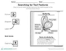 Searching for Text Features