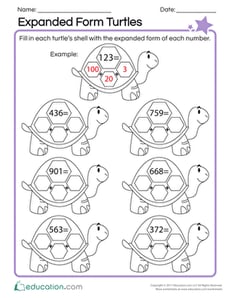 Expanded Form Turtles