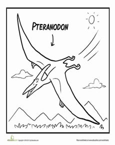 Pteranodon Coloring Page