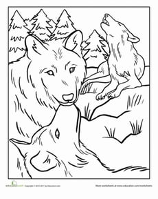 Wolf Pack Coloring Page