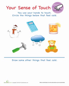 Your Sense of Touch: Cold