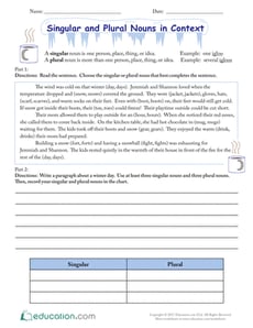 Singular and Plural Nouns in Context