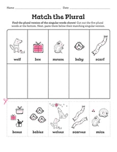Match the Plural