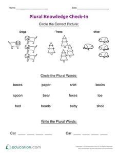 Plural Knowledge Check-In