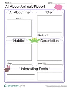 All About Animals Report