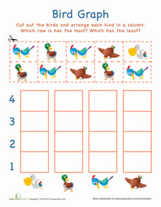 Cut-Out Graph: Birds