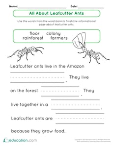 All About Leafcutter Ants