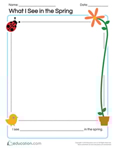 What I See in the Spring