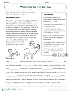 Welcome to the Tundra