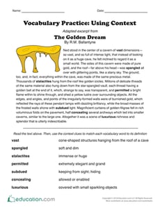 Vocabulary Practice: Using Context