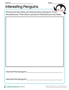 Interesting Penguins
