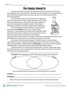 The Fungus Among Us