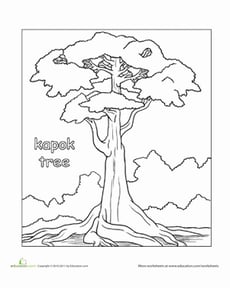 Color the Kapok Tree