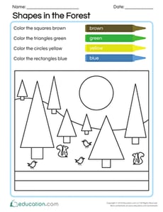 Shapes in the Forest