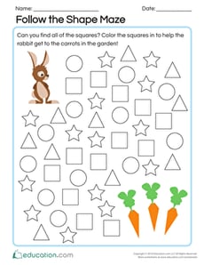 Follow the Shape Maze
