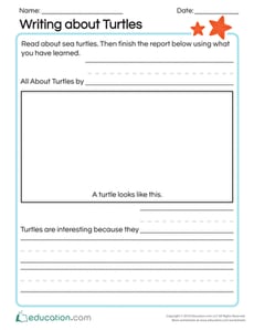 Writing about Turtles