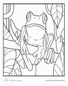 Tree Frog Coloring Page
