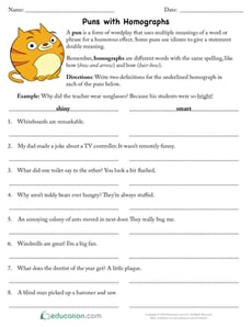 Puns with Homographs