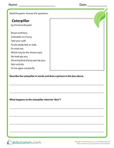 Caterpillar
