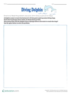 Math Brainteasers: Diving Dolphin