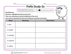 Prefix Study: Ex