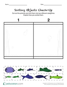 Sorting Objects Check-Up